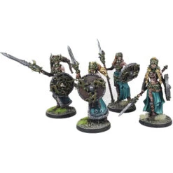 Conquest: Nords - Valkyries -Games Workshop Shop PBW4412 3