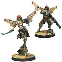 Infinity: Haqqislam - Bashi Bazouks